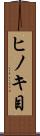 ヒノキ目 Scroll