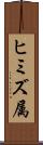 ヒミズ属 Scroll