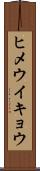 ヒメウイキョウ Scroll