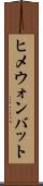 ヒメウォンバット Scroll