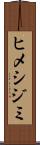 ヒメシジミ Scroll