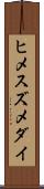 ヒメスズメダイ Scroll