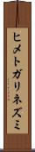 ヒメトガリネズミ Scroll