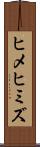ヒメヒミズ Scroll