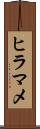 ヒラマメ Scroll