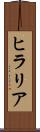 ヒラリア Scroll