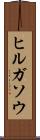 ヒルガソウ Scroll