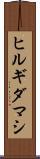 ヒルギダマシ Scroll