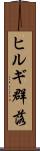ヒルギ群落 Scroll