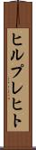 ヒルプレヒト Scroll