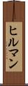 ヒルマン Scroll