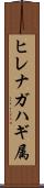 ヒレナガハギ属 Scroll