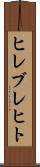 ヒレブレヒト Scroll