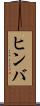 ヒンバ Scroll