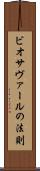 ビオサヴァールの法則 Scroll