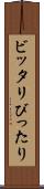 ビッタリ Scroll