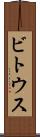 ビトウス Scroll