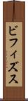 ビフィズス Scroll