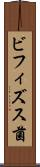 ビフィズス菌 Scroll