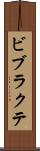 ビブラクテ Scroll
