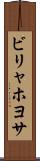 ビリャホヨサ Scroll