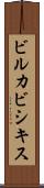 ビルカビシキス Scroll