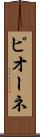 ピオーネ Scroll