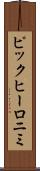 ピックヒーロニミ Scroll