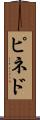 ピネド Scroll