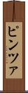 ピンツァ Scroll