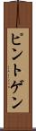 ピントゲン Scroll