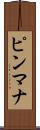 ピンマナ Scroll