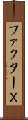 ファクターＸ Scroll