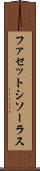 ファセットシソーラス Scroll