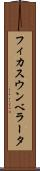 フィカス・ウンベラータ Scroll