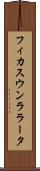 フィカスウンララータ Scroll
