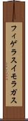 フィゲラスイモラガス Scroll