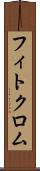 フィトクロム Scroll