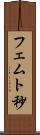 フェムト秒 Scroll