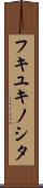 フキユキノシタ Scroll