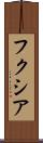 フクシア Scroll