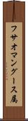 フサオマングース属 Scroll