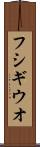 フシギウオ Scroll