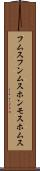 フムス Scroll