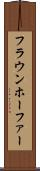 フラウンホーファー Scroll