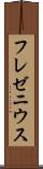 フレゼニウス Scroll