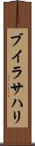 ブイラサハリ Scroll