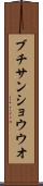 ブチサンショウウオ Scroll
