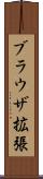 ブラウザ拡張 Scroll