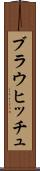 ブラウヒッチュ Scroll